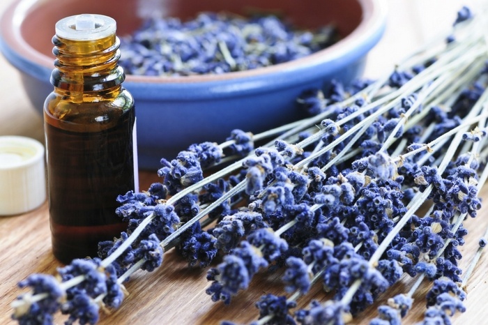 first-choice-chiropractic-of-northville-lavender-essential-oil